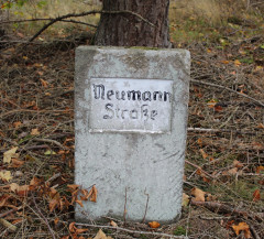 Neumannstraße Wegestein Biggenkopf 