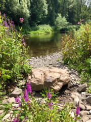 Stein an der Eder, bei Schmittlotheim 