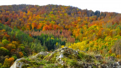 Bilstein bei Bad Wildungen - Reitzenhagen