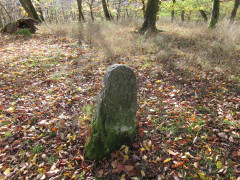 historischer Grenzstein Waldeck_2020-11-02