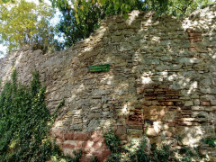 Stadtmauer Waldeck