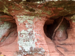 Steinhöhlen in Mengeringhausen am Weißen Stein