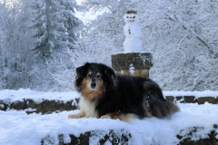 Winter auf Burg Eisenberg