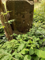 Waldecker Stern auf dem Quast