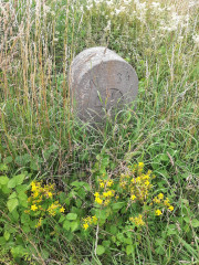 Waldecker Stern am Schmetterlingssteig