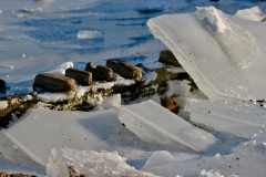 Sperrmauermodel in Edersee durchbricht die Eisdecke