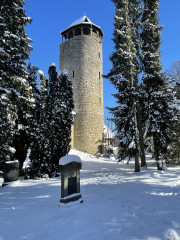 Tylenturm 