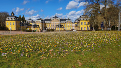 Arolsen Schloß