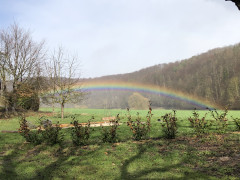 Regenbogen zum Anfassen