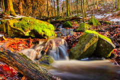 Wasserlauf im  Nationalpark