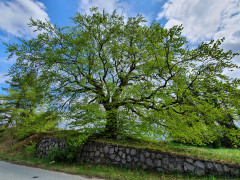 Einsame Mauer bei Helmscheid 