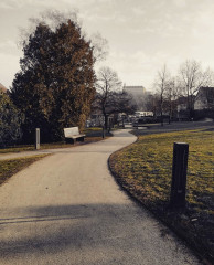 Vielsagender Blick auf Bad Wildungen