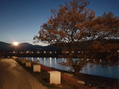 Waldecker Steine am Diemelsee