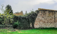 Stadtmauer Rhoden 