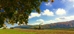 Landwirtschaft im Oktober 