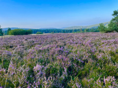 Hochheide Willingen 